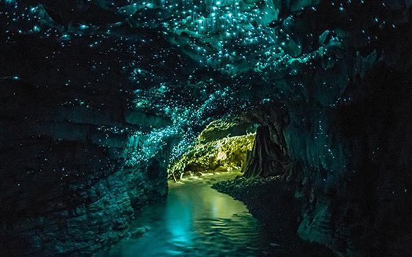 逃离神秘海底世界